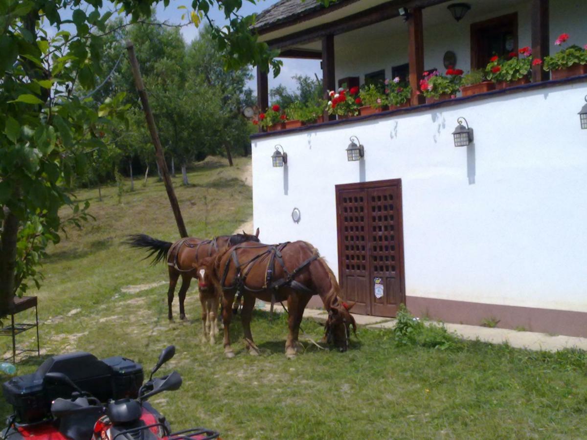 Cottage Poe Poienari Exterior photo